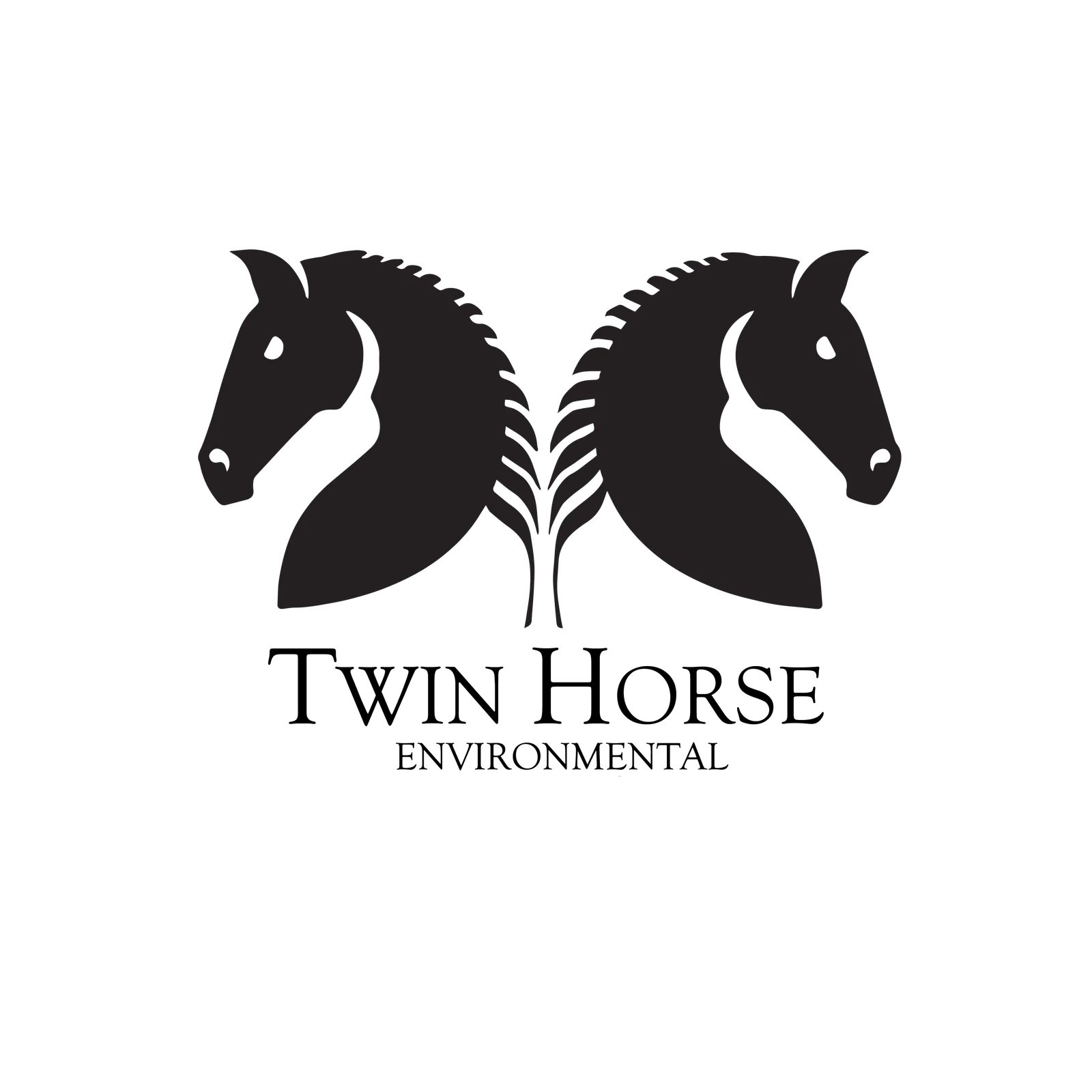 Twin Horse Environmental logo